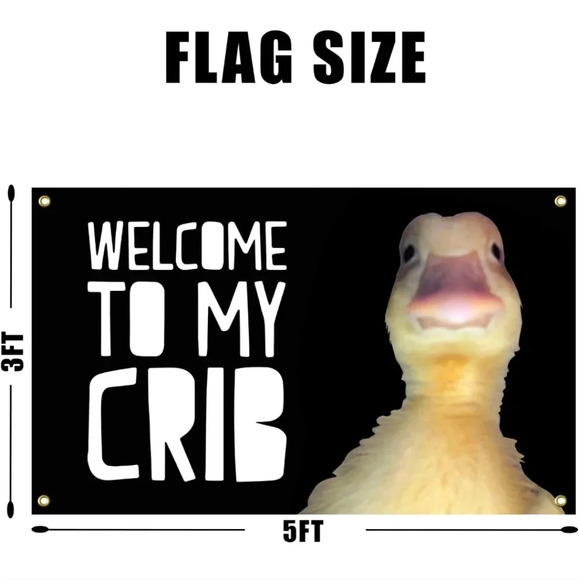 Welcome to My Crib Funny Flag 3x5Ft Wall Flag with 4 Brass Grommets for Bedroom - Picture 2 of 3